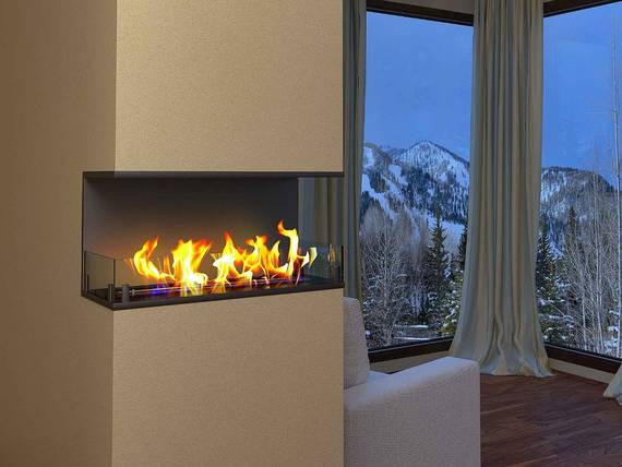 Встраиваемый Биокамин торцевой ZeFire Standart 700 по цене 36 100 руб.